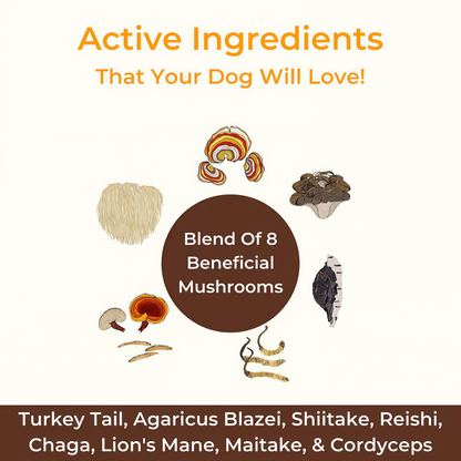 Petsmont Buddy Guard for Lumps and Bumps, Lipoma for Dogs & Cats, Patent Pending Organic 8 Mushroom Powder Blend Natural Dog Probiotic & Immune Support Chaga, Reishi, Lion's Mane, Turkey Tail Mushroom